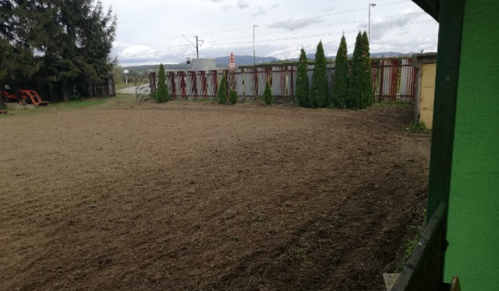 Fotoalbum školy
